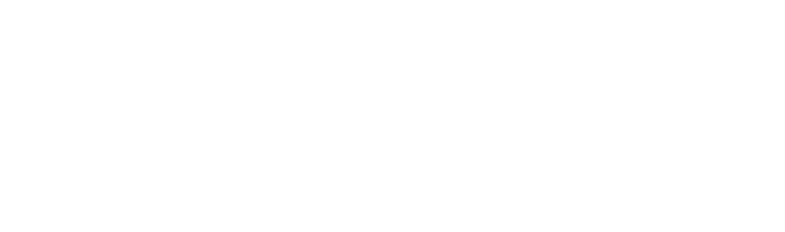 Pascal Design Group